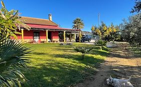 La Buganvilla, descanso entre olivares